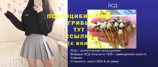 синтетический гашиш Краснослободск