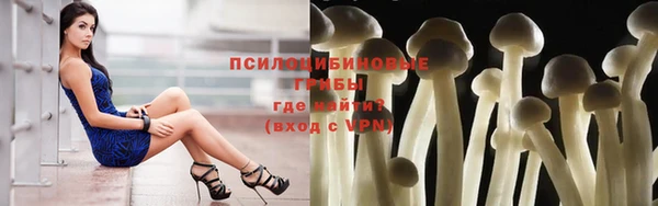мдпв Краснотурьинск