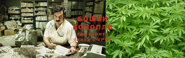 сатива Корсаков