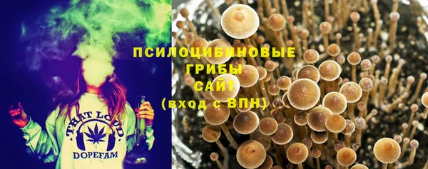 мдпв Краснотурьинск