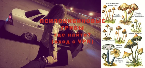синтетический гашиш Краснослободск
