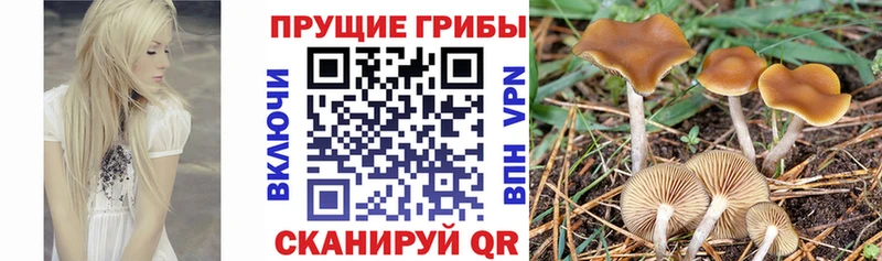 Псилоцибиновые грибы Magic Shrooms  MEGA ТОР  Майский 
